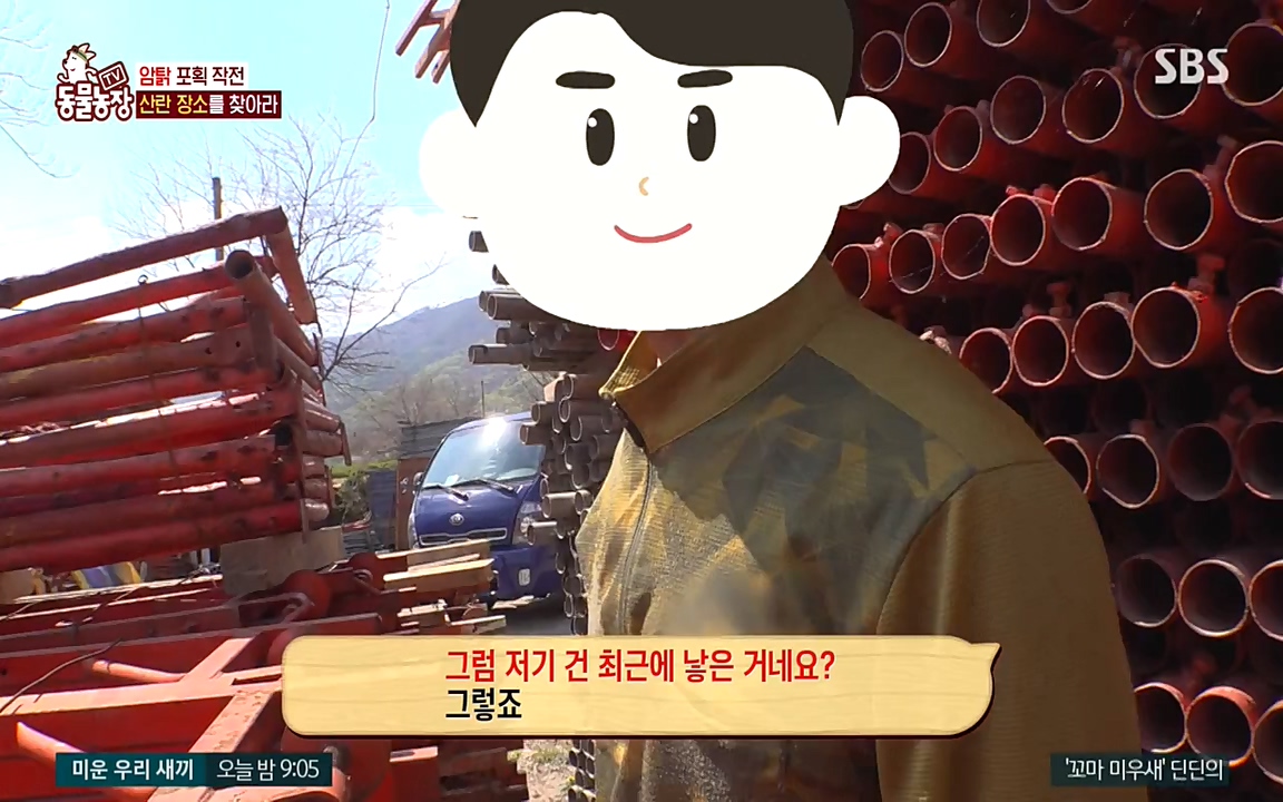 TV 동물농장.E1068.220509p-NEXT.mp4_20220508_173821.437.jpg