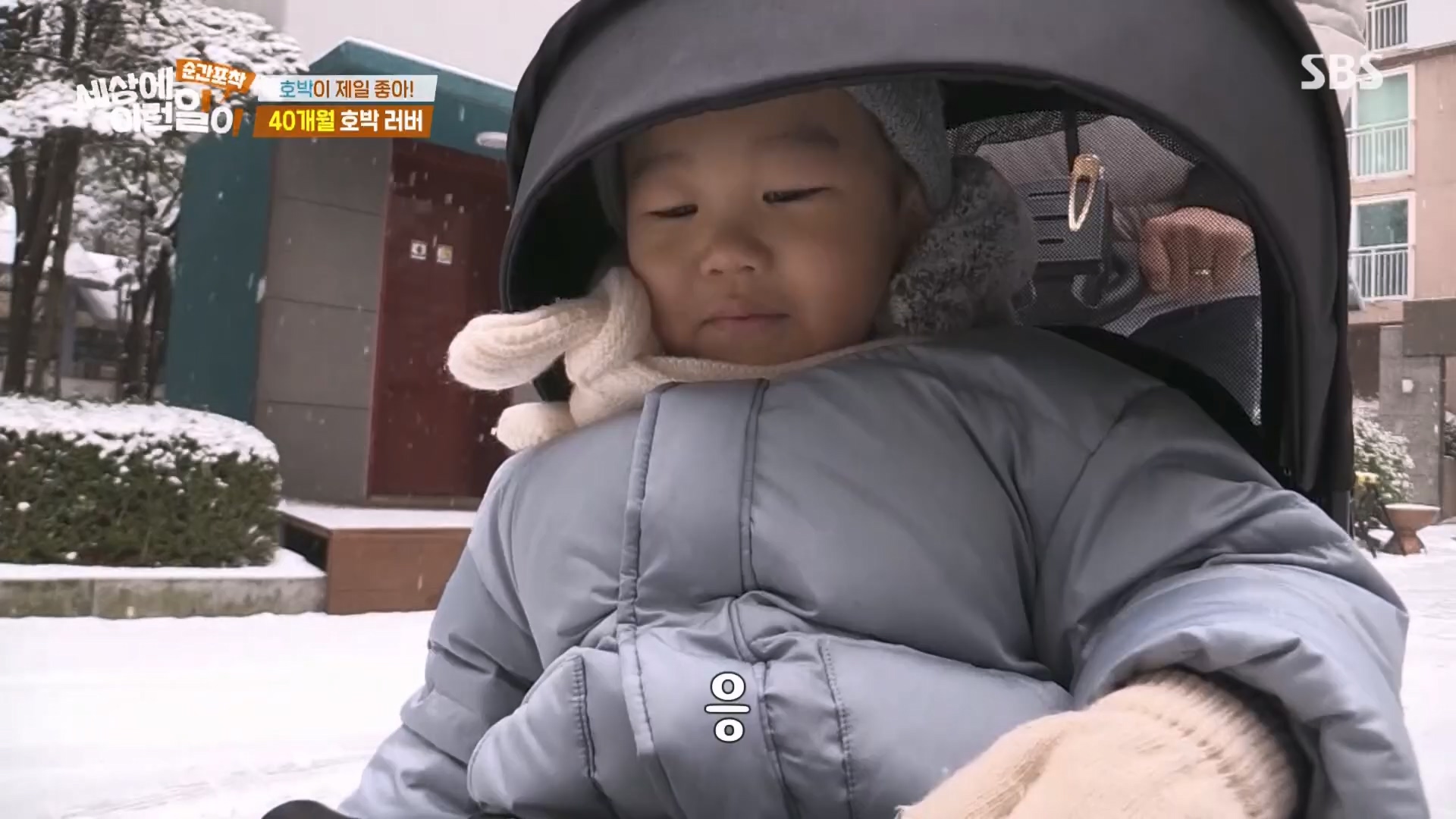 순간포착 세상에 이런일이.E1260.240113p.H264-F1RST.mp4_20240114_200326.402.jpg