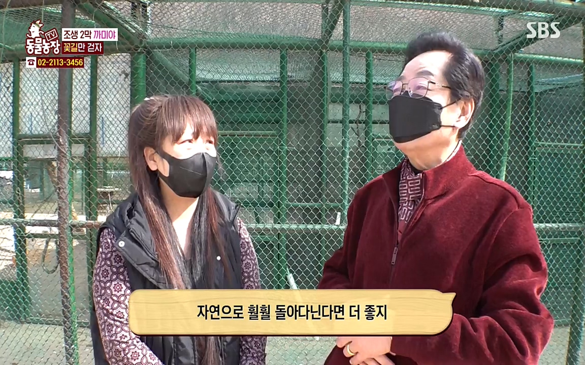 TV 동물농장.E1065.220418p-NEXT.mp4_20220417_181305.169.jpg