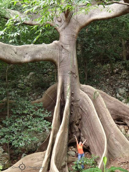 img.jpg