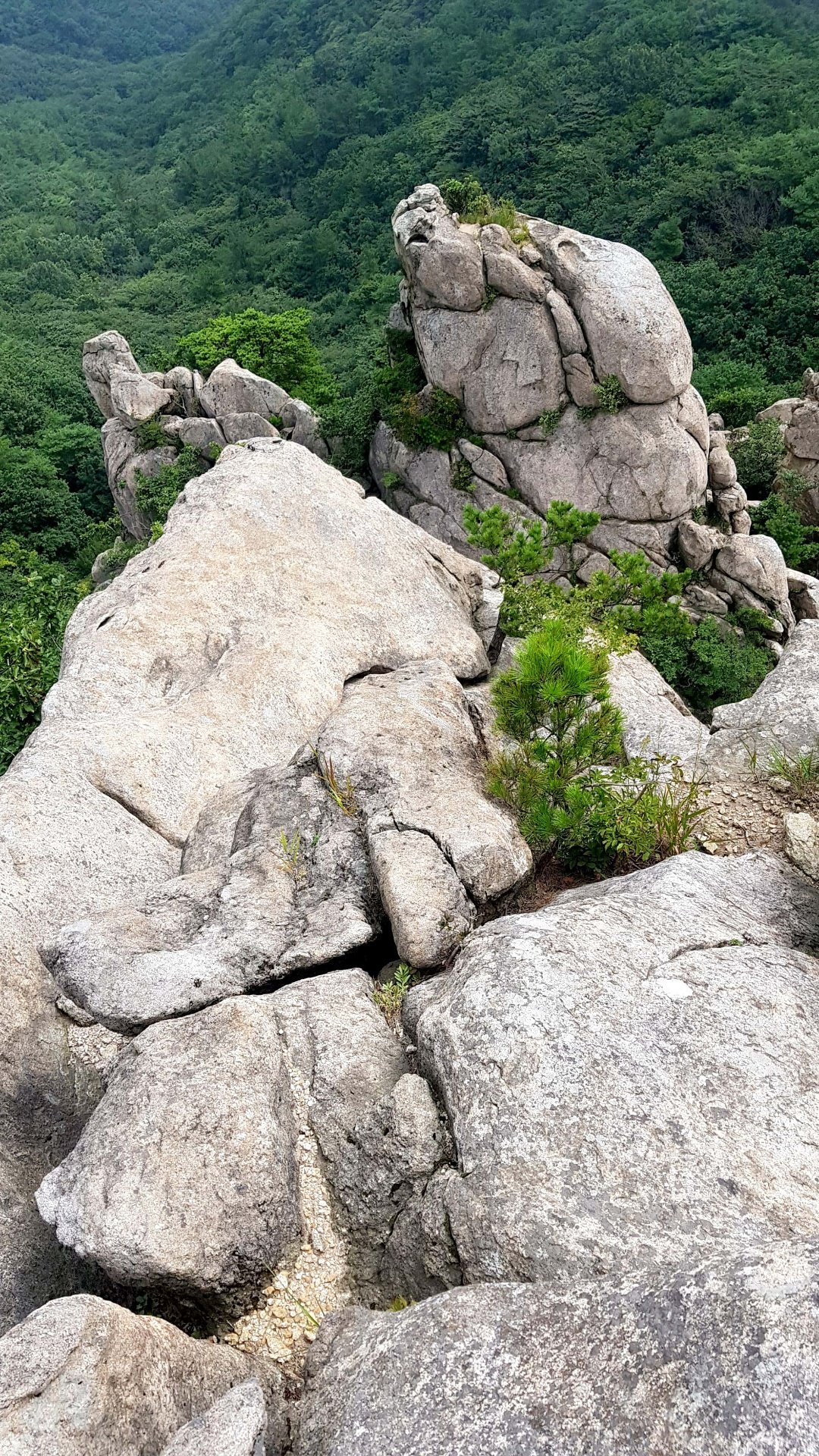 부산 금정산 무명릿지