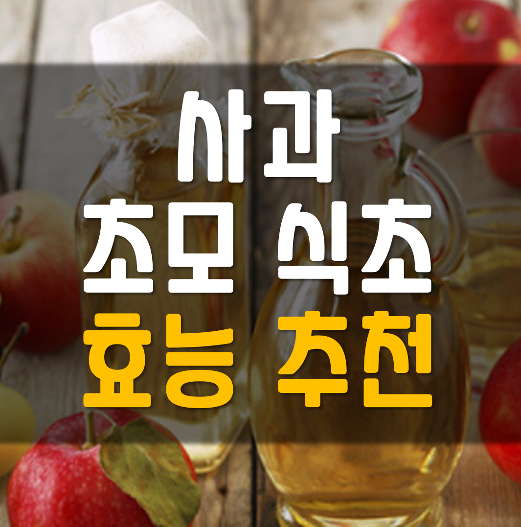  사과초모식초 레드초 효능