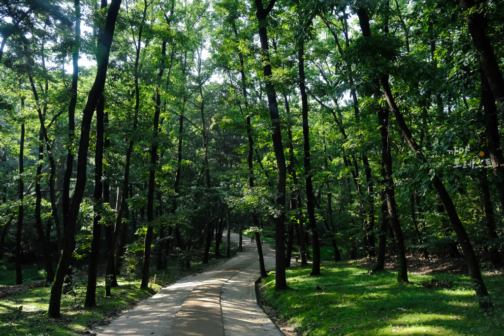 융건릉 산책로