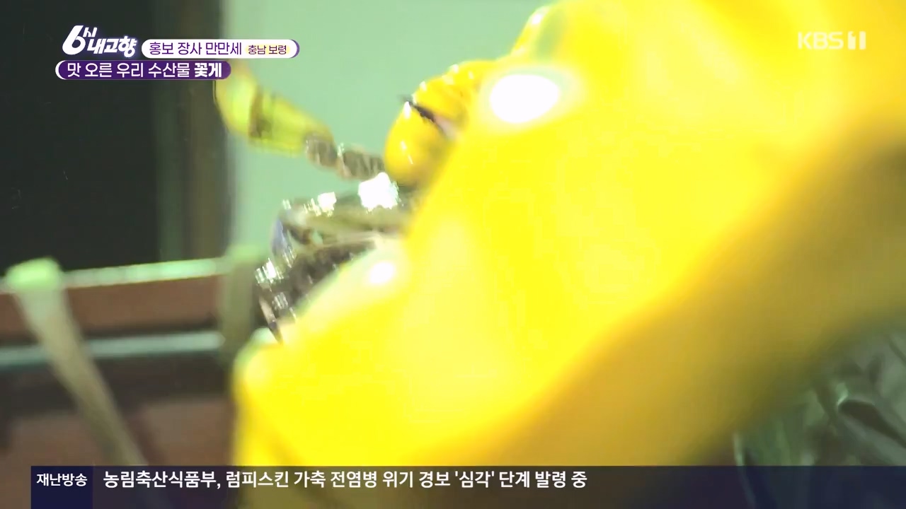 6시 내고향.E7910.231032p-NEXT.mp4_20231101_204605.111.jpg