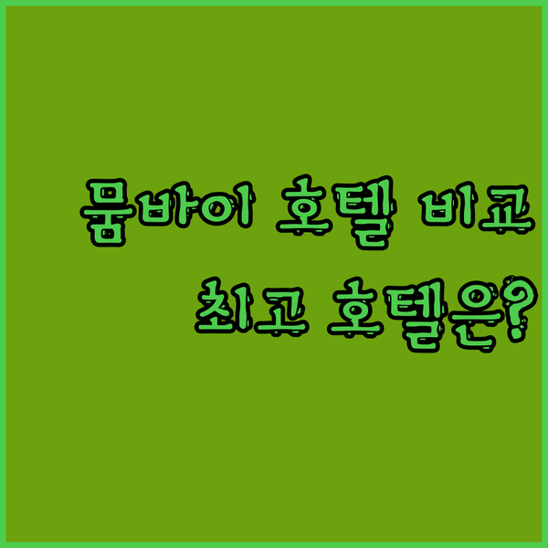 인도 뭄바이 여행 필수 정보! 공항 