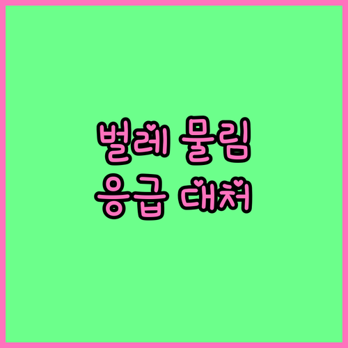 24시 응급실 정보: 벌레 물림 증상