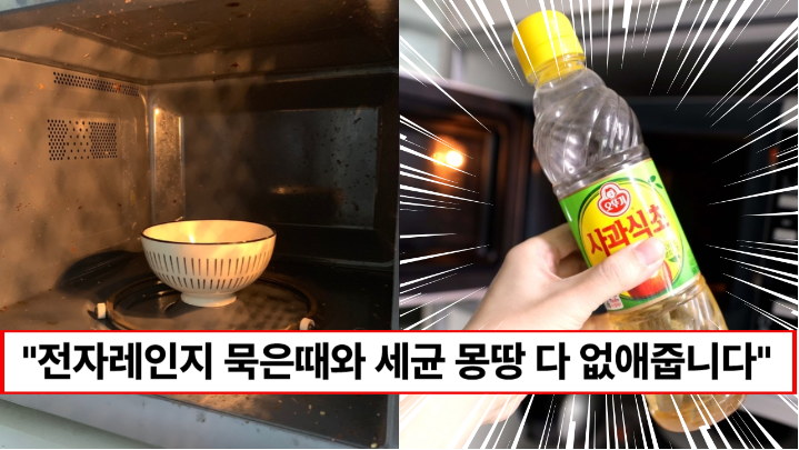 “전자레인지 청소 식초하나면 충분합니다” 건강 해치는 전자레인지 속 세균 없애는 방법