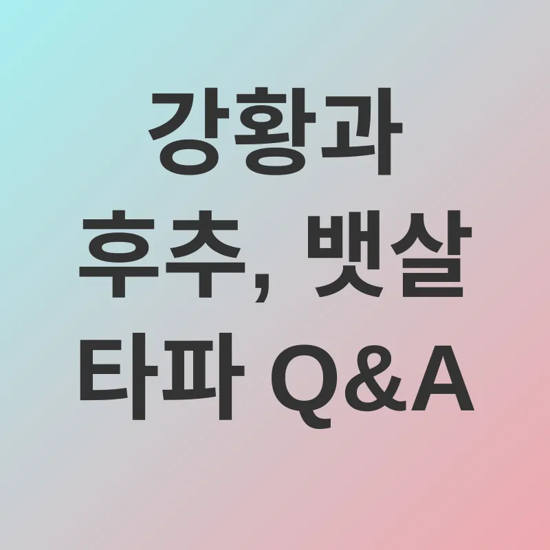 복부지방 감소_4