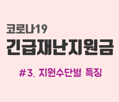  긴급재난지원금 #3. 지급수단별 특성