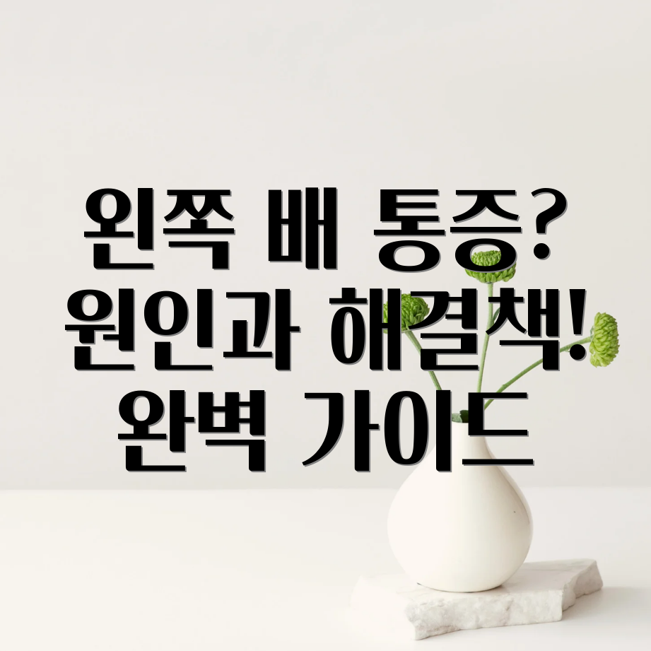 왼쪽 배 통증