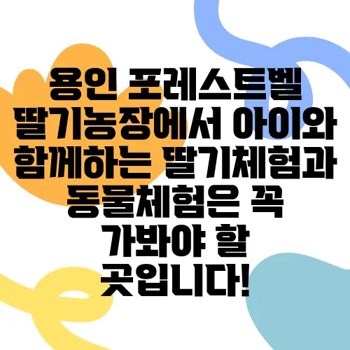 용인 포레스트벨 딸기농장에서 아이와 함께하는 딸기체험과 동물체험은 꼭 가봐야 할 곳입니다!