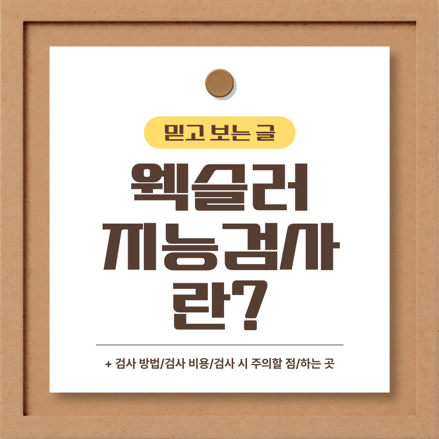  웩슬러 지능검사 란?
