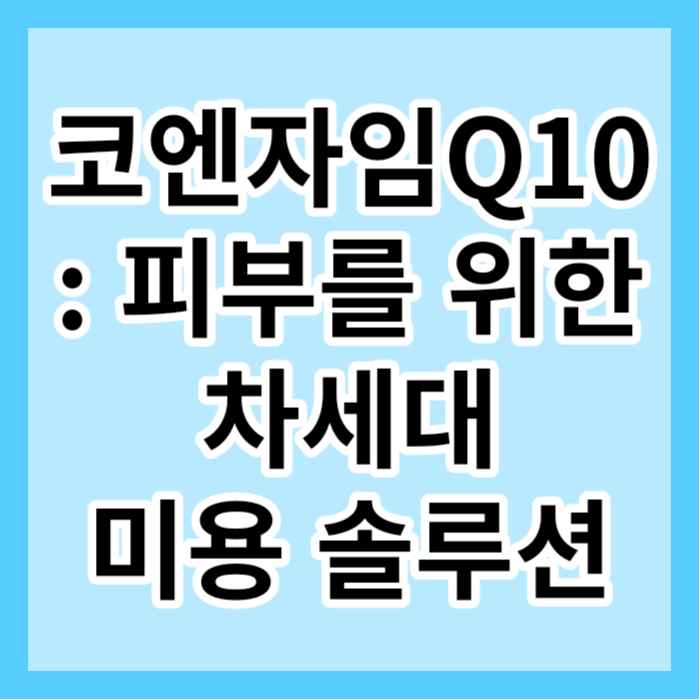 대표-사진