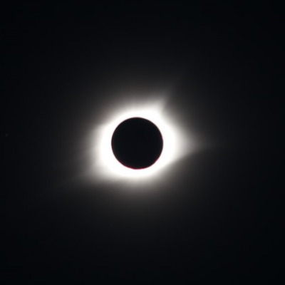 선드림 해석,  꿈을 해결하다