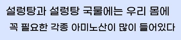  5. 설렁탕과 설렁탕 국물에는 우리 몸에 꼭 필요한 각종 아미노산이 많이 들어있다.