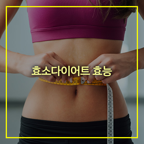 효소다이어트 효능