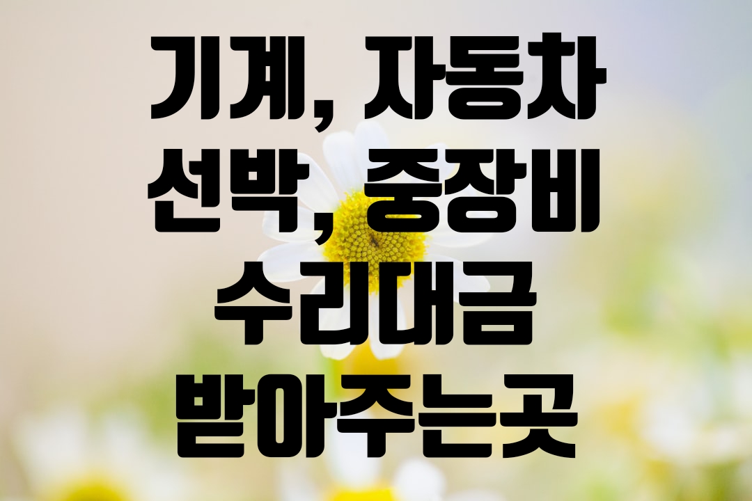 대표사진