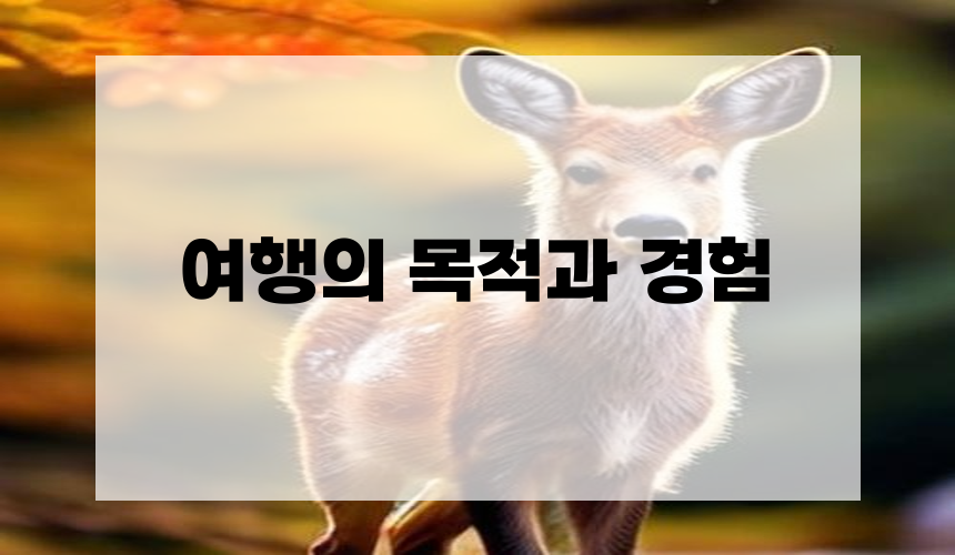 4. 여행의 목적과 경험