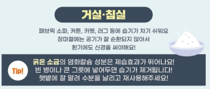 장마철 습기제거 꿀팁 