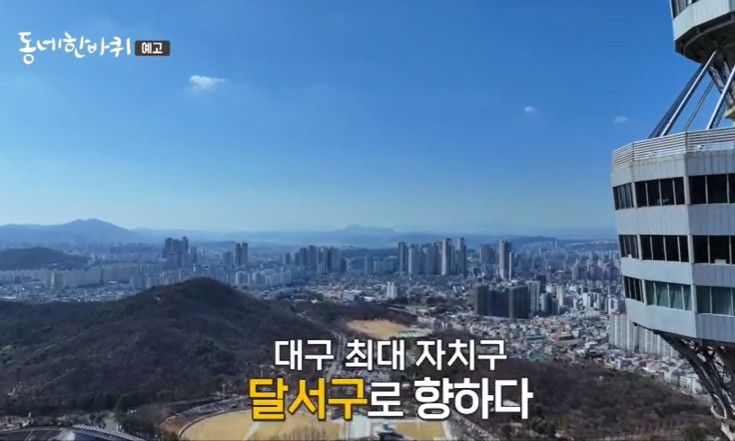 대구-달서구