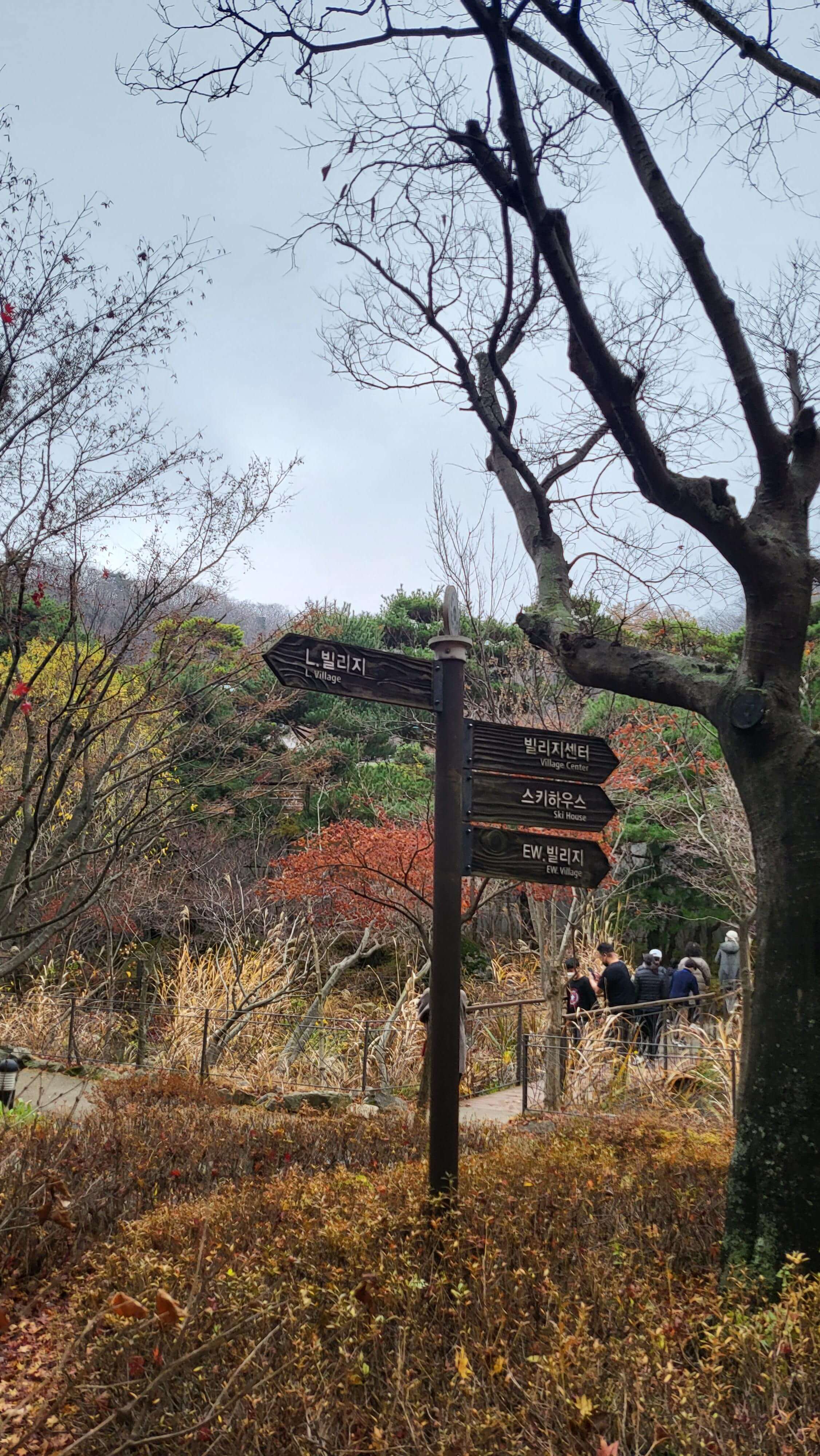 아침 산책을 나온 사람들