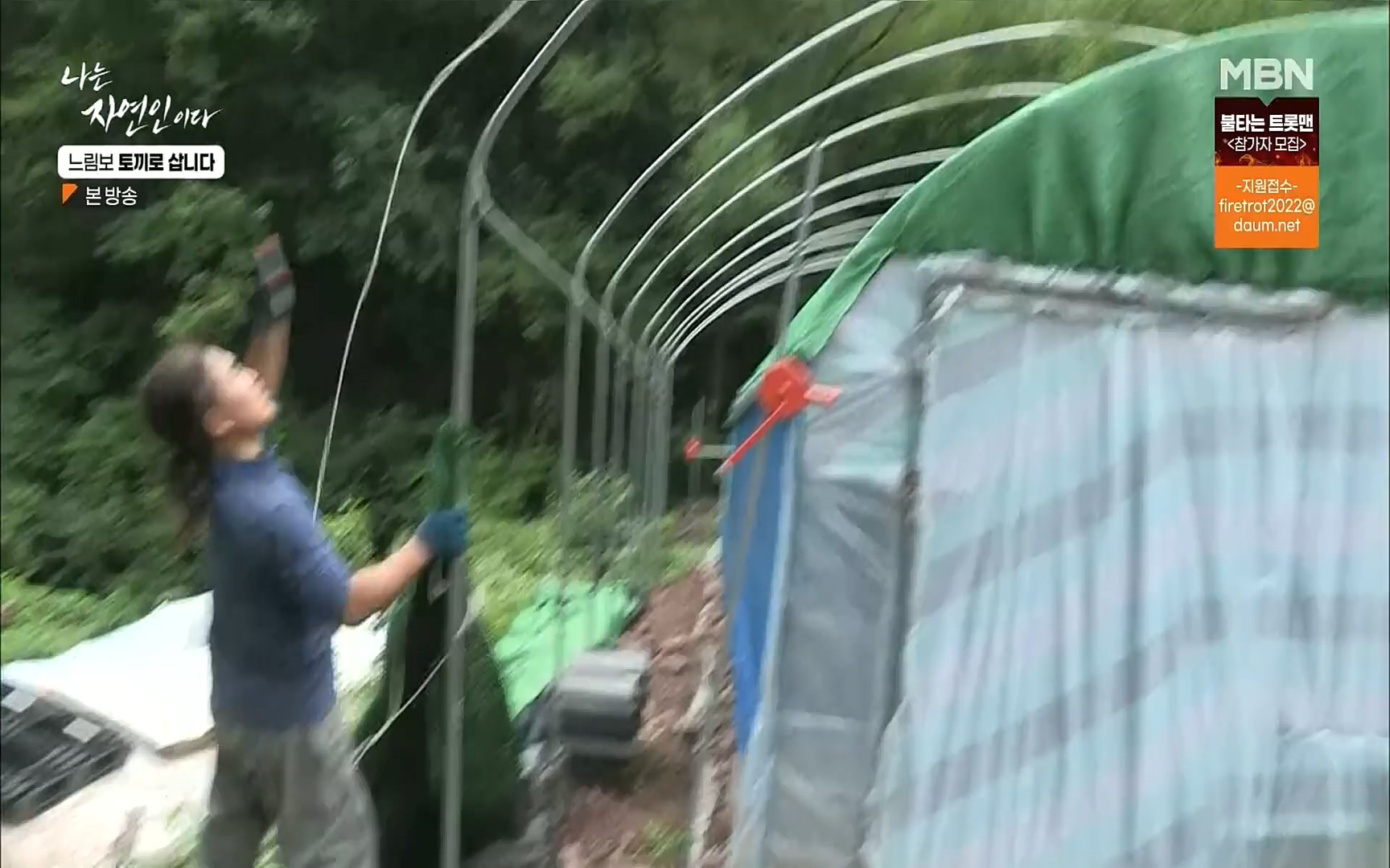 나는 자연인이다.E514.220810p.H264-F1RST.mp4_20220811_202614.274.jpg