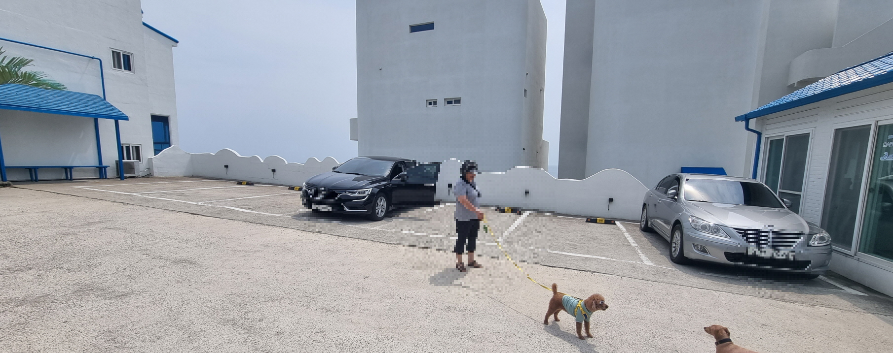 포항 펜션 바다마루