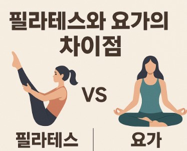 차이점 관련 예시 이미지