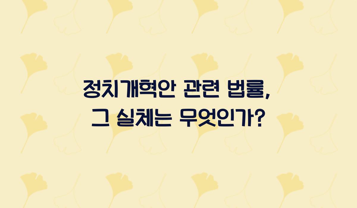 정치개혁안 관련 법률