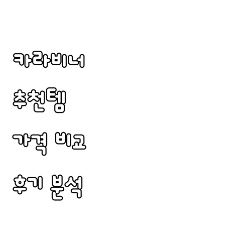 카라비너 추천 5종 가격 비교 및 후