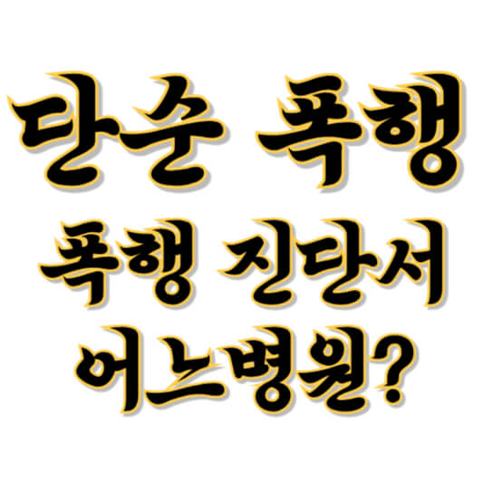단순폭행 폭행 진단서 어느병원