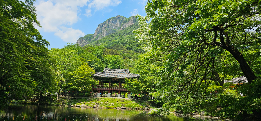 백양사 풍경