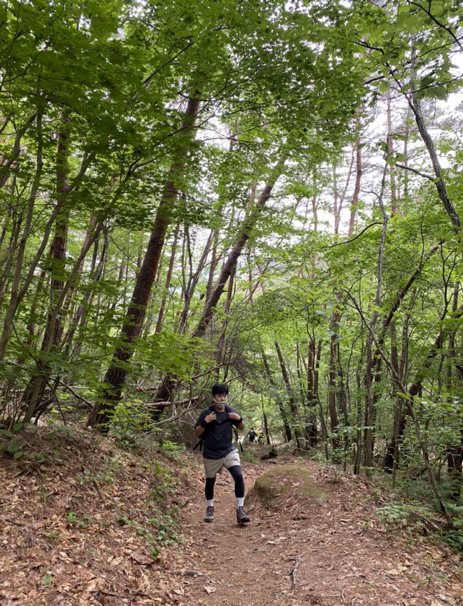 여름산으로 추천하는 괴산 칠보산(778m) 숲속을 거니는 듯 시원해 여름산으로 추천하는 괴산 칠보산(778m) 숲속을 거니는 듯 시원해