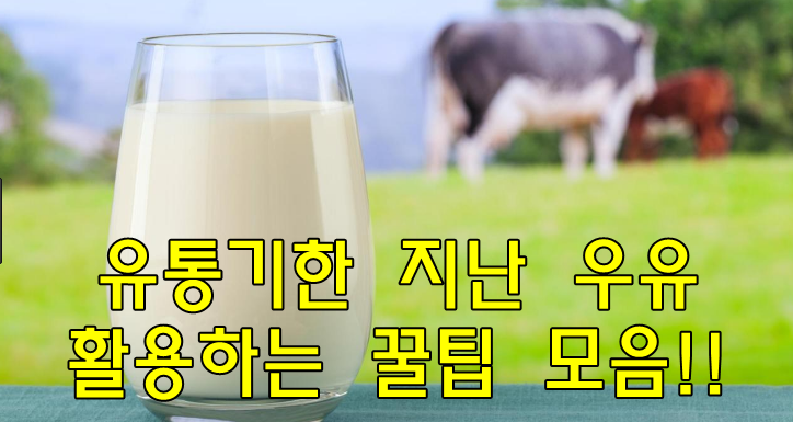  유통기한 지난 우유 활용하는 꿀팁모음!!