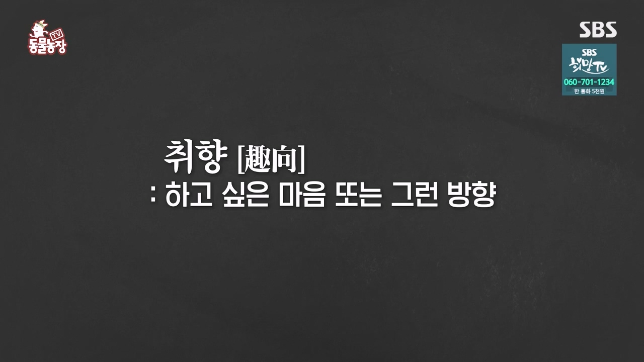 TV 동물농장.E1152.231232p-NEXT.mp4_20231231_172002.685.jpg