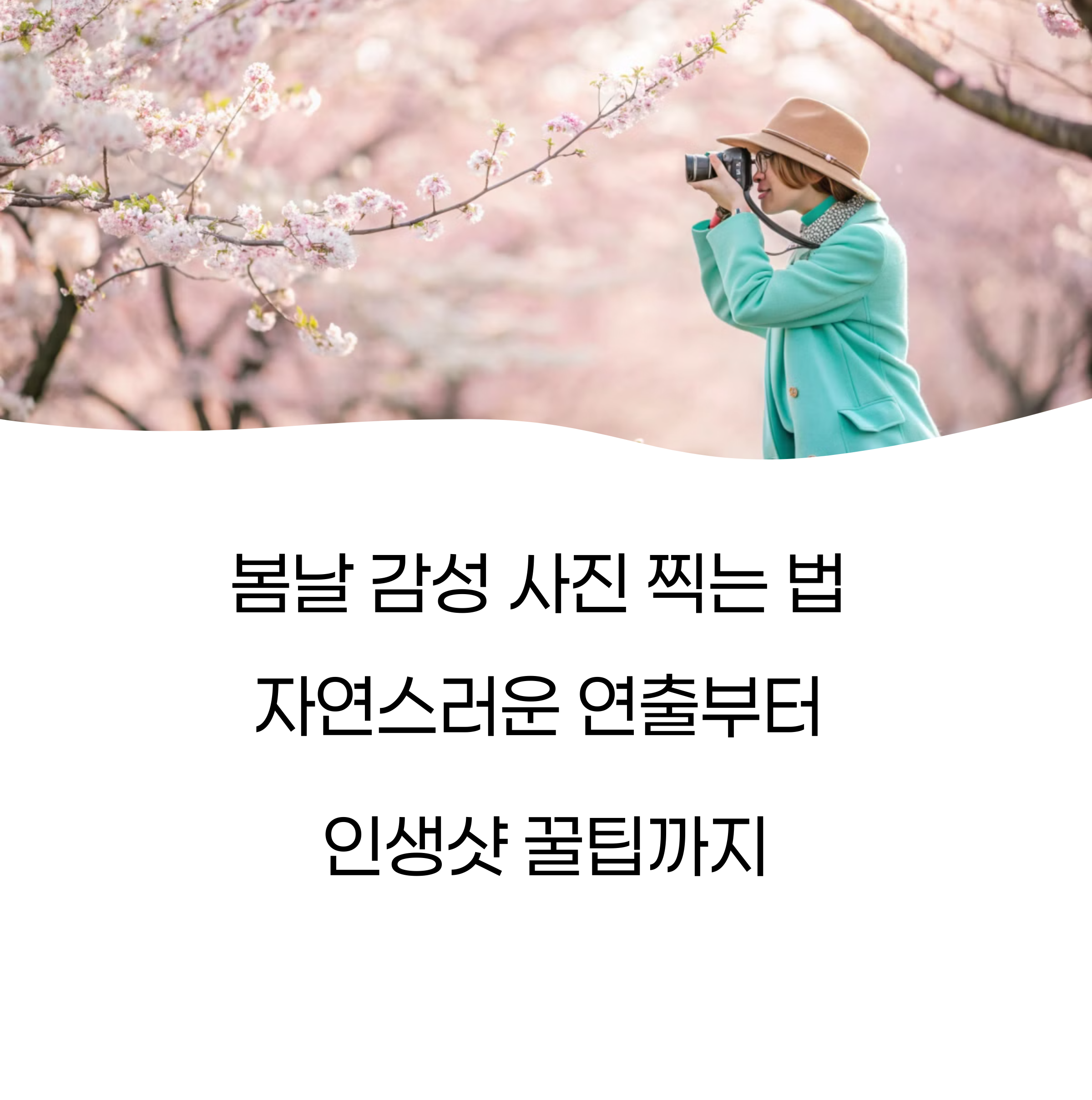 봄날 감성 사진 찍는 법: 자연스러운 연출부터 인생샷 꿀팁까지!