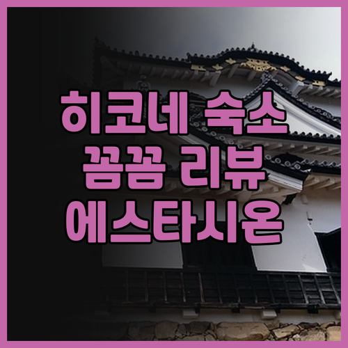 호텔 에스타시온 히코네 후기 꼼꼼 리