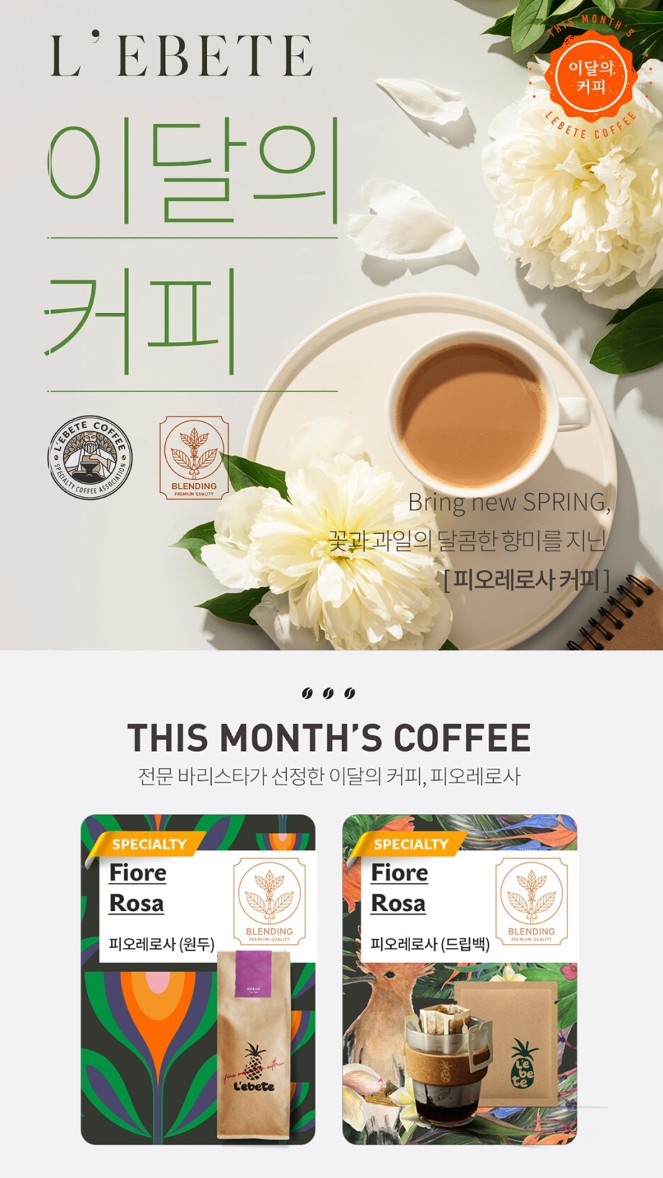 레베니 이미지