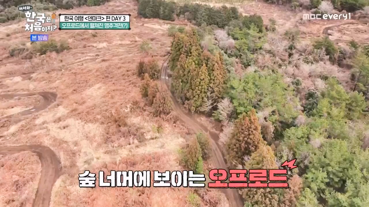어서와 한국은 처음이지 시즌2.E304.240230p-NEXT.mp4_20240301_172033.179.jpg