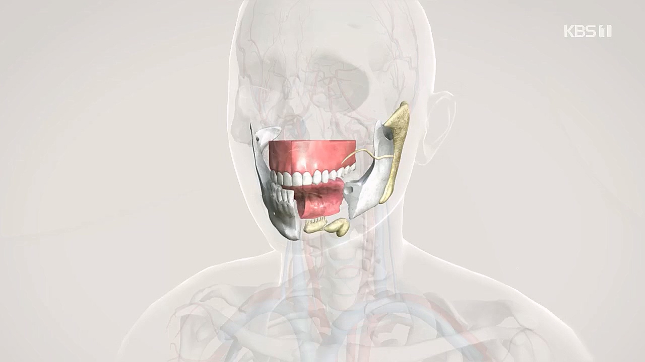 생로병사의 비밀.E851.230112p.H264-F1RST.mp4_20230119_200620.768.jpg