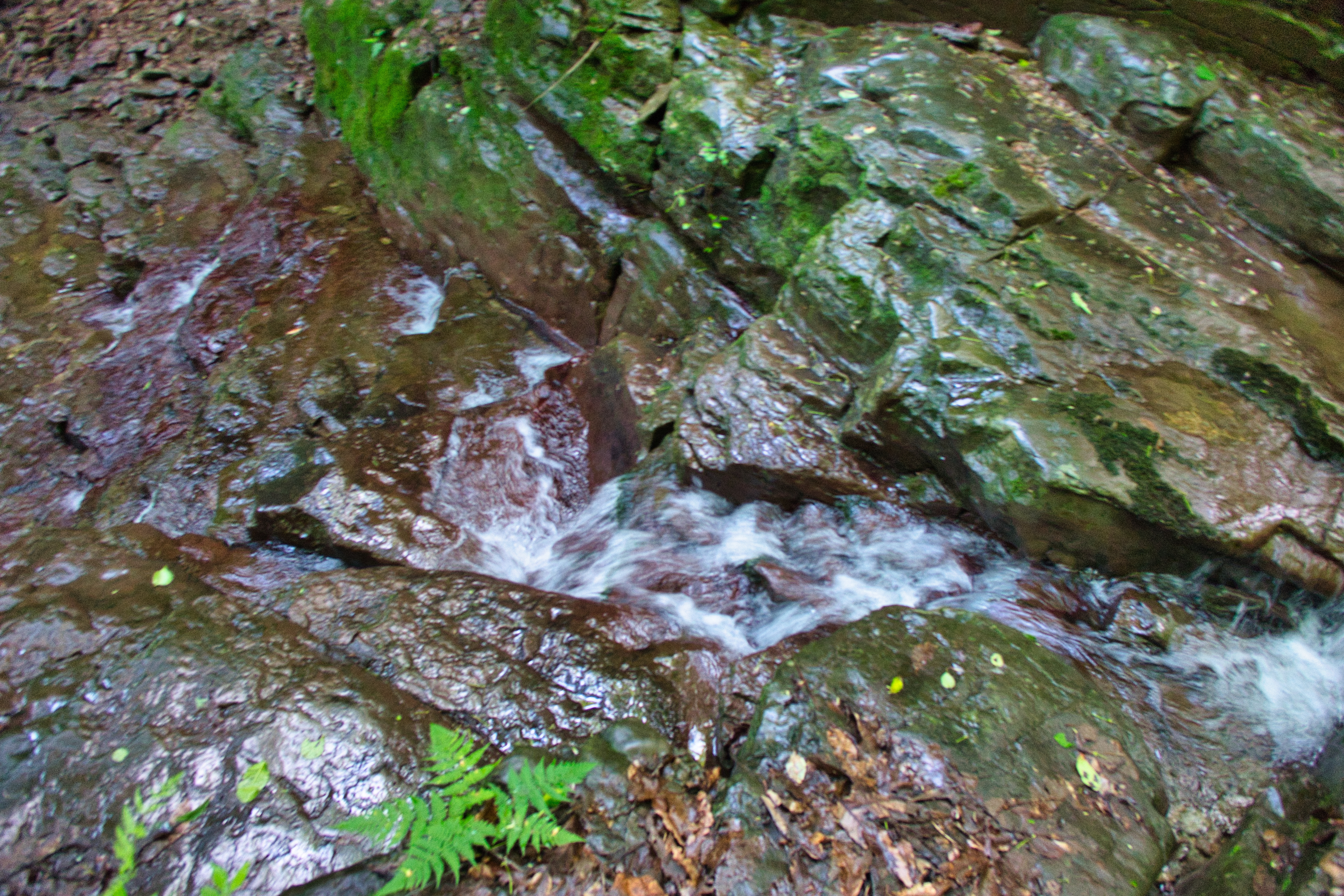 img.jpg
