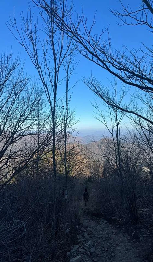 고헌산
