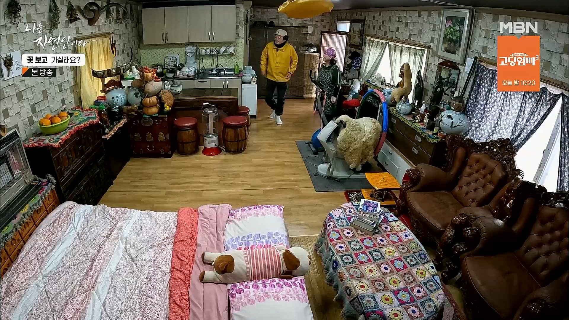 나는 자연인이다.E545.230315p.H264-F1RST.mp4_20230316_212102.958.jpg