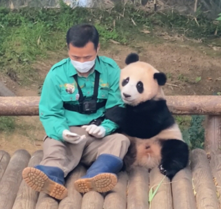 푸바오