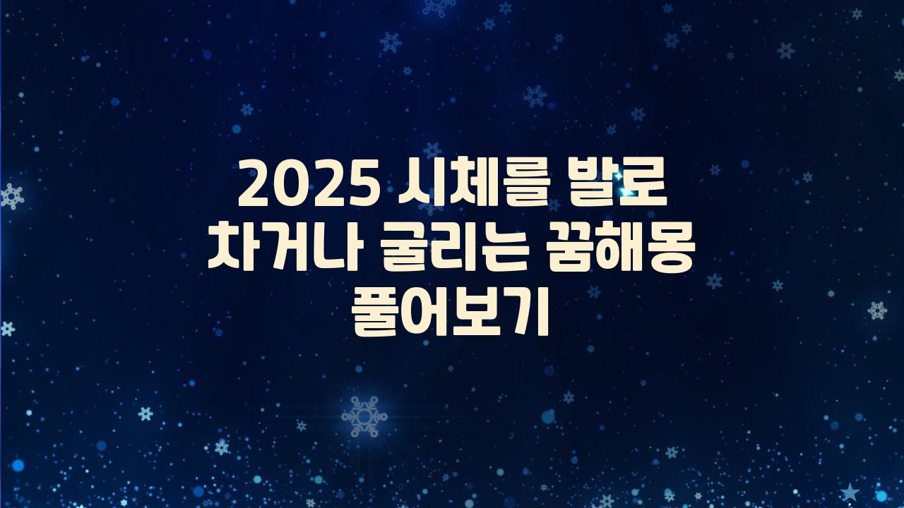 2025 시체를 발로 차거나 굴리는 꿈해몽