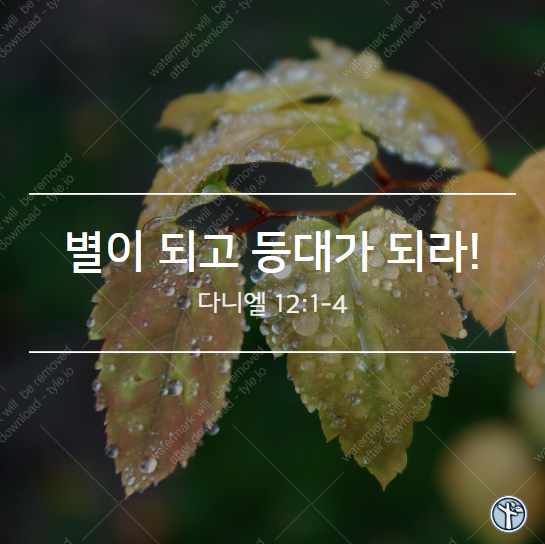  별이 되고 등대가 되라!