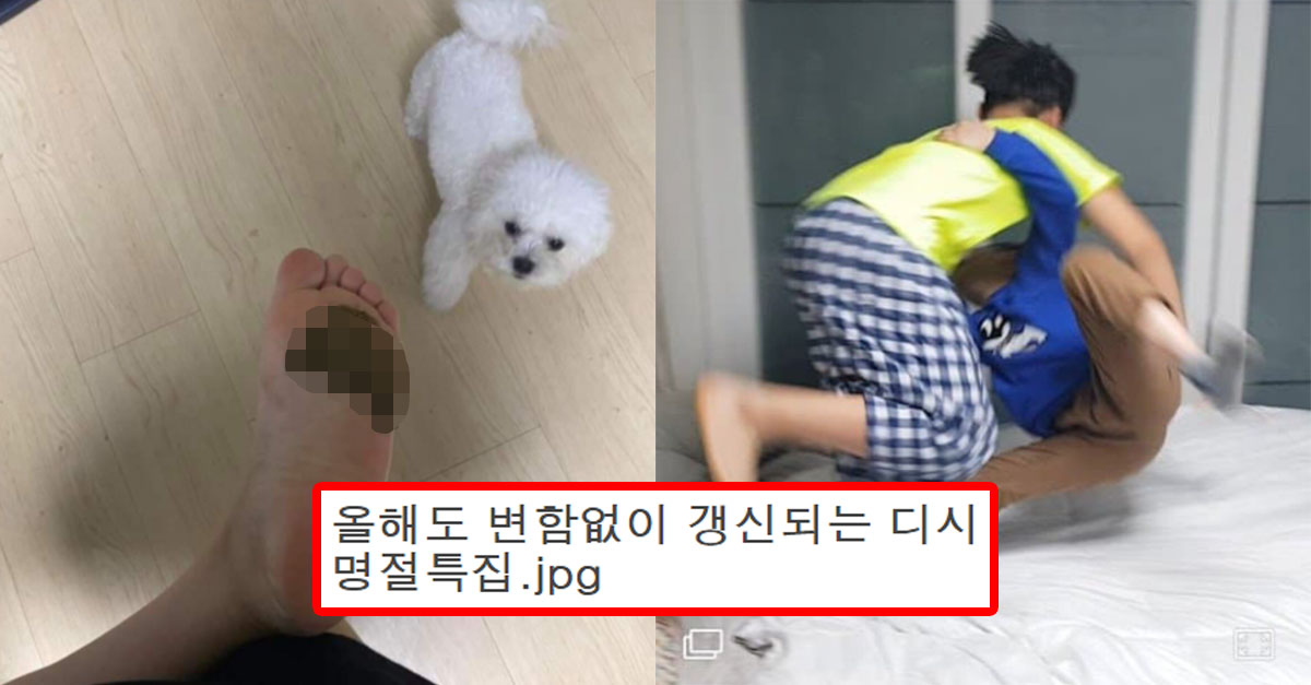  올해도 변함없이 올라온 디시의 명절특집