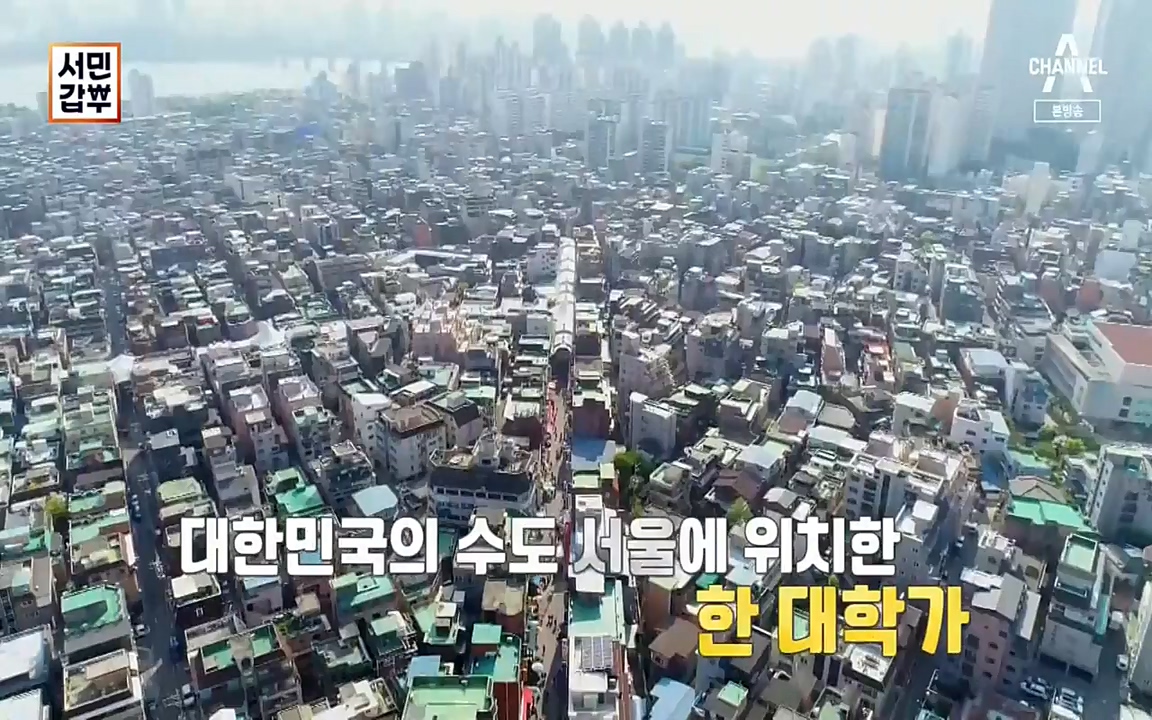 서민 갑부.E378.220410p-NEXT.mp4_20220410_181135.119.jpg