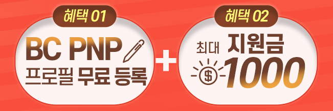 PNP 이미지