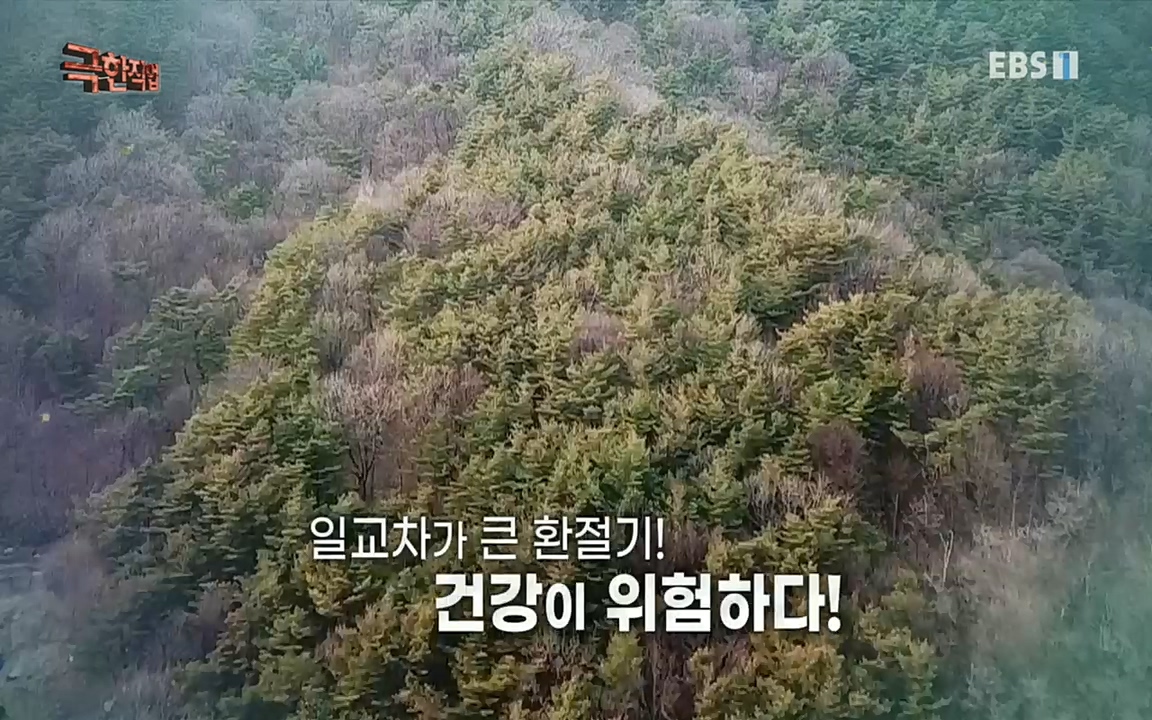 TV - 교육의 중심 EBS자연에서 찾은 보약! 석이버섯, 호장근, 백하수오.mp4_20220518_192304.779.jpg
